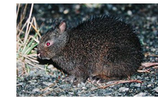 �A�}�~�m�N���E�T�M